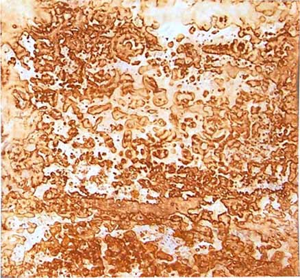 How To Make Rusted Paper